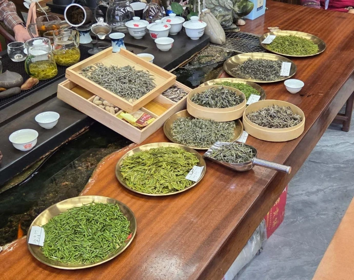 Une table de dégustation comme un paysage de nuances
