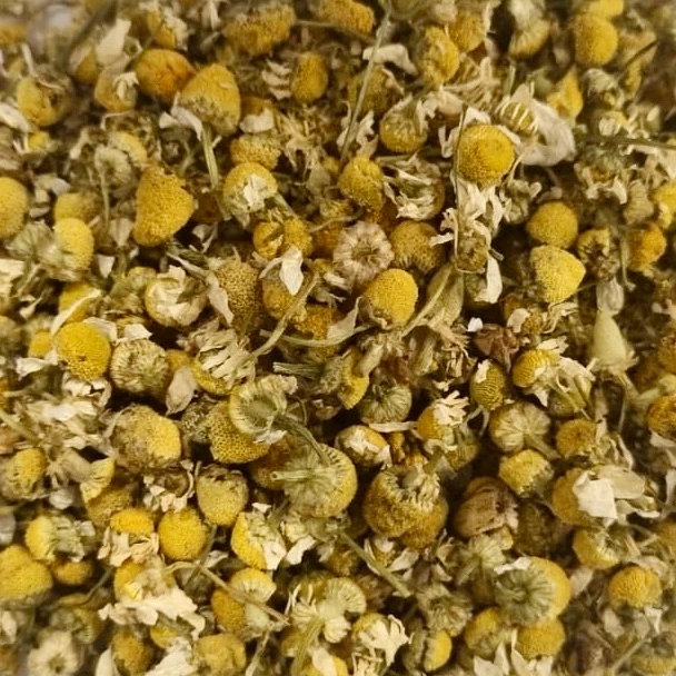 Camomille Bio