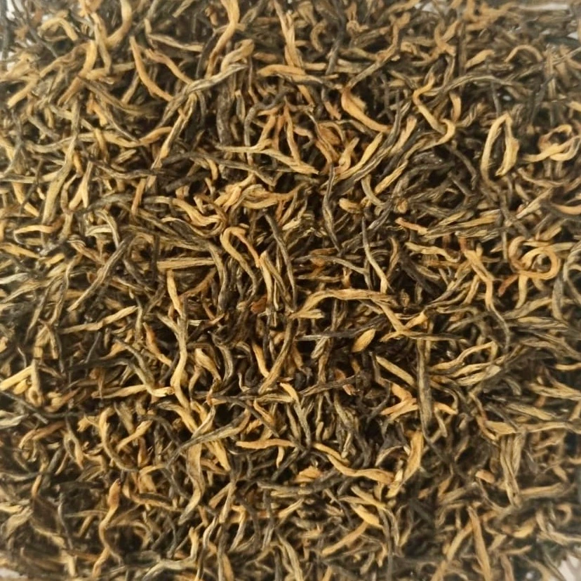 Fujian Tan Yang