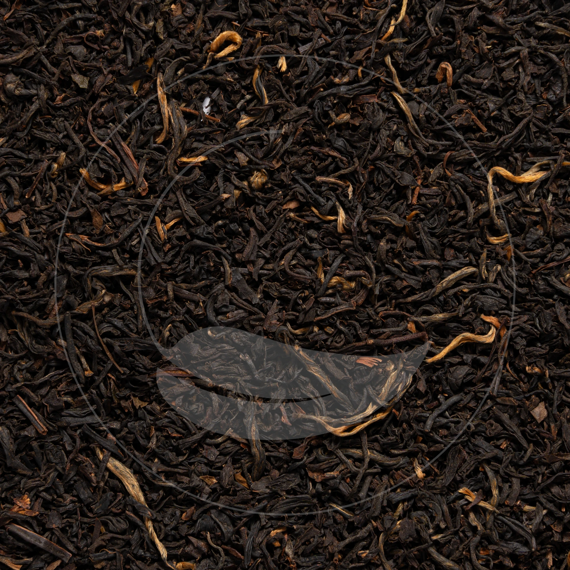 Assam Tonganagaon Bio