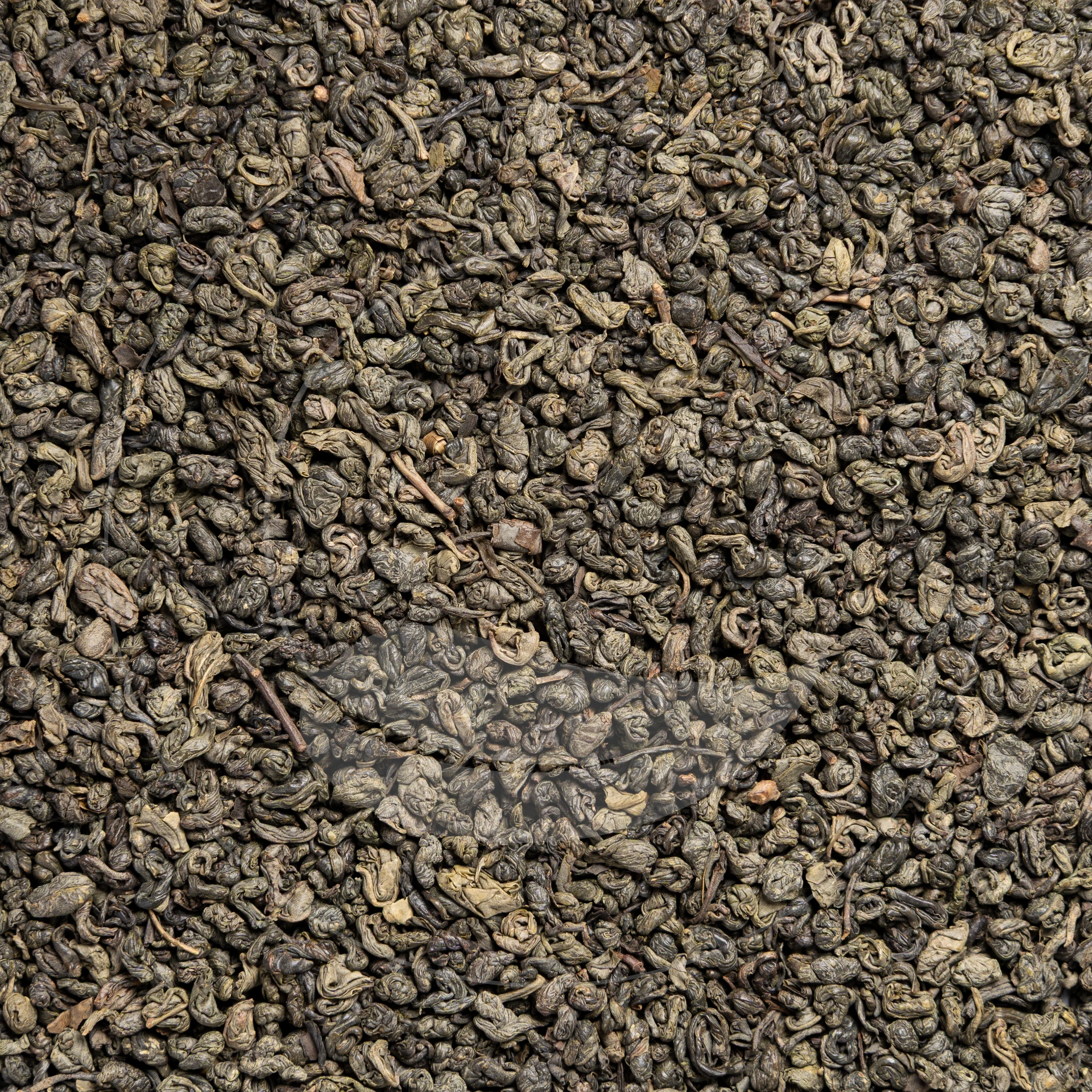 Gunpowder Bio
