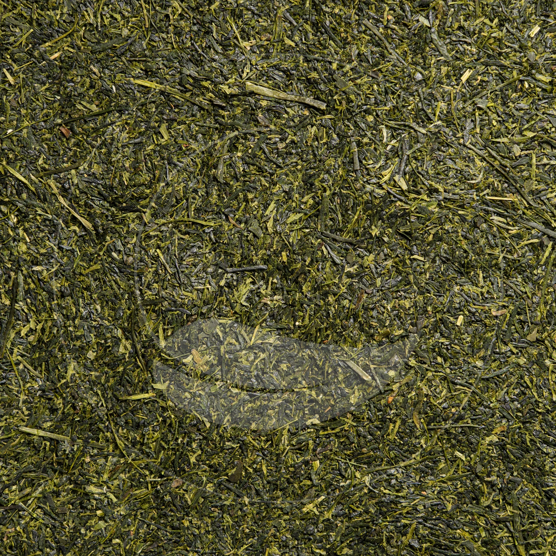 Sencha Asatsuyu