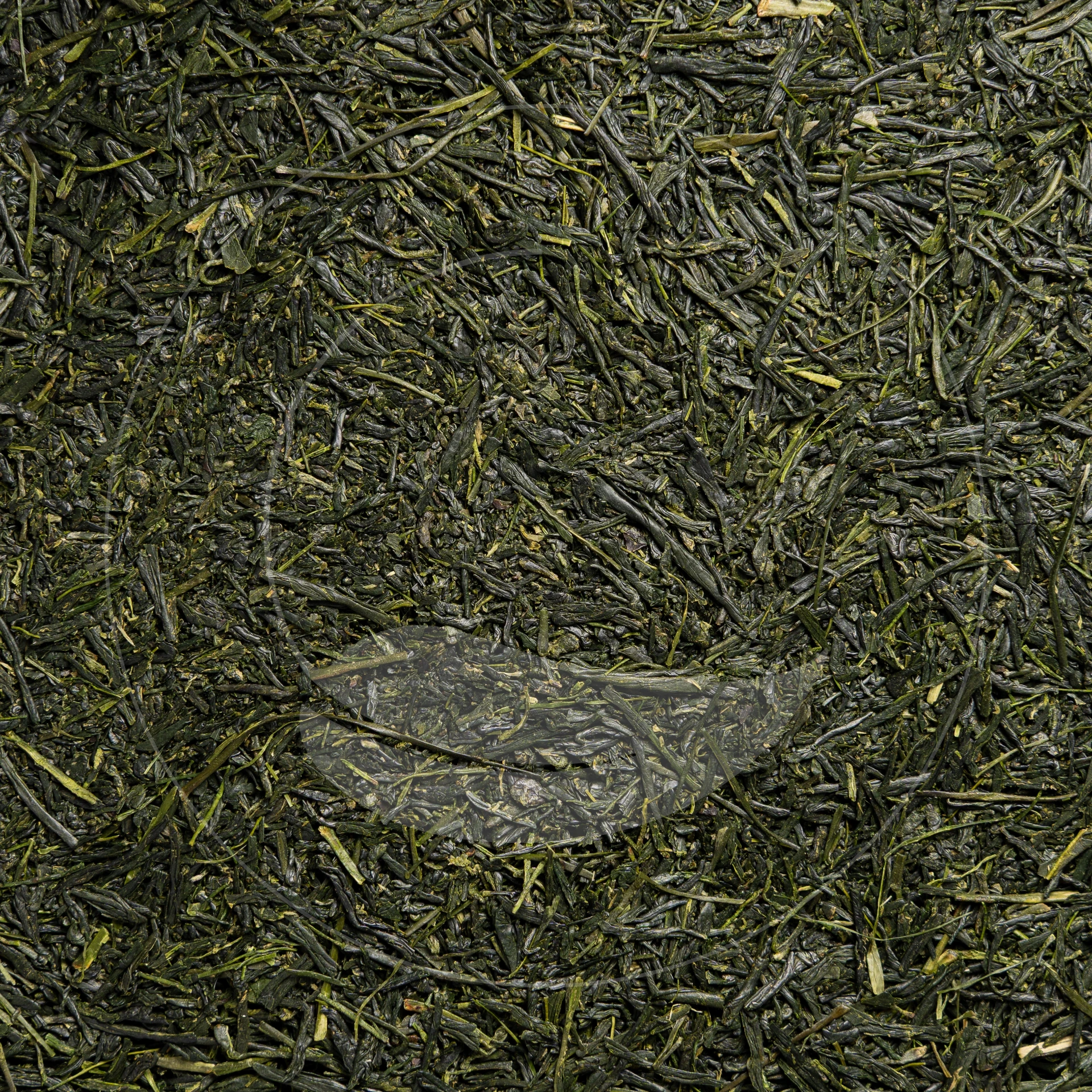 Gyokuro Sashimi Bio