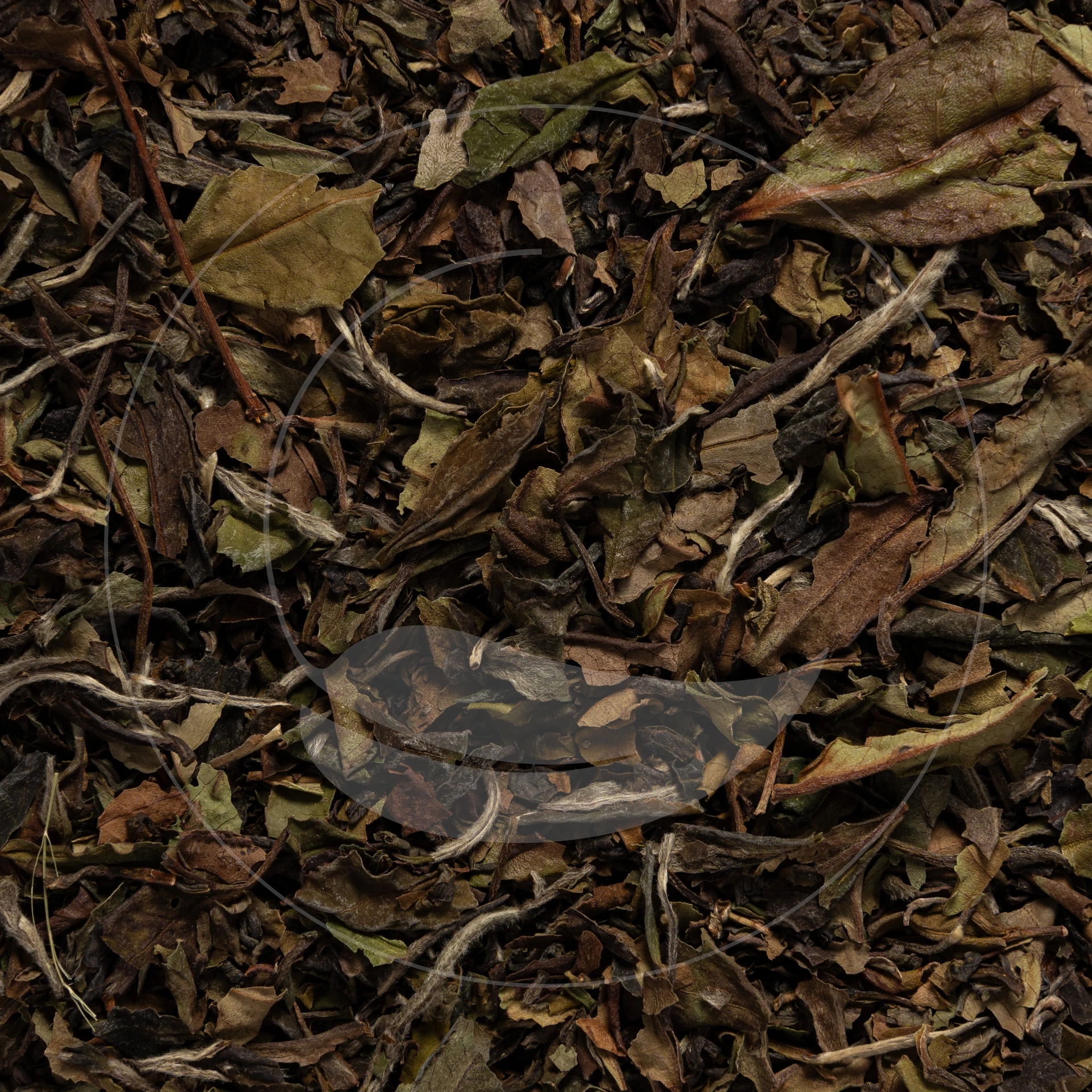 Thé Blanc Earl Grey