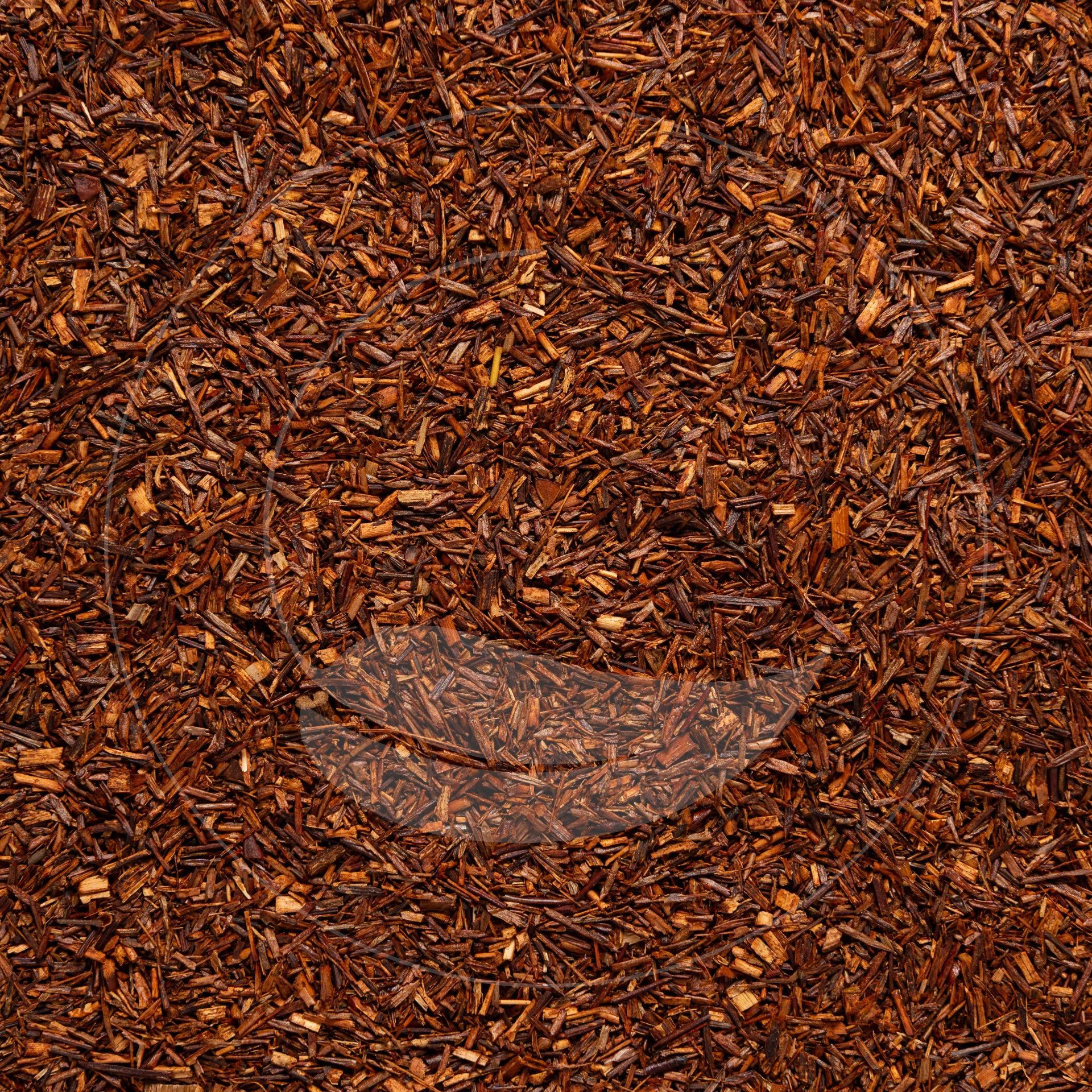 Rooibos Vanille Bio