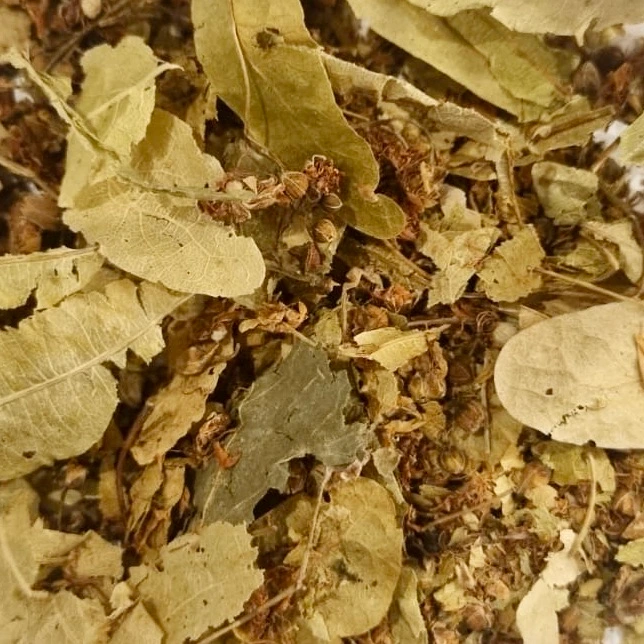 Tilleul Bio