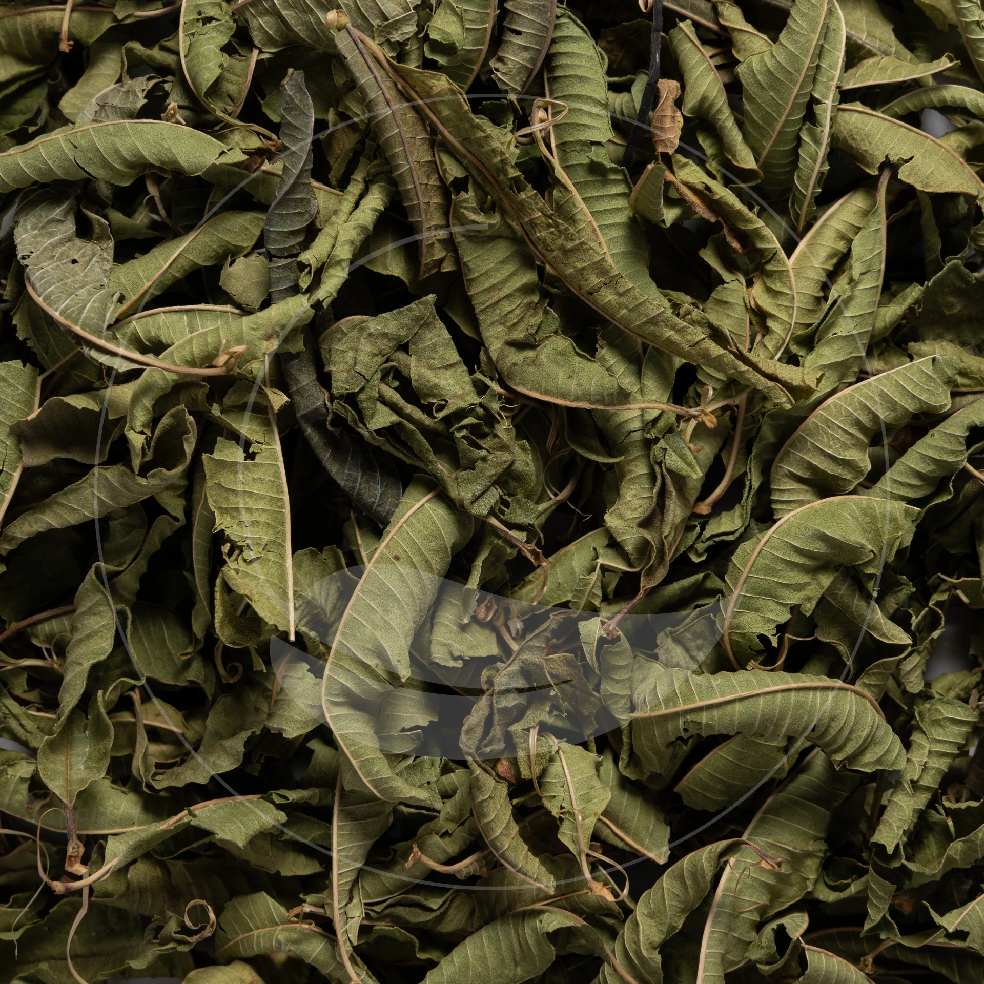 Verveine Citronnée Bio