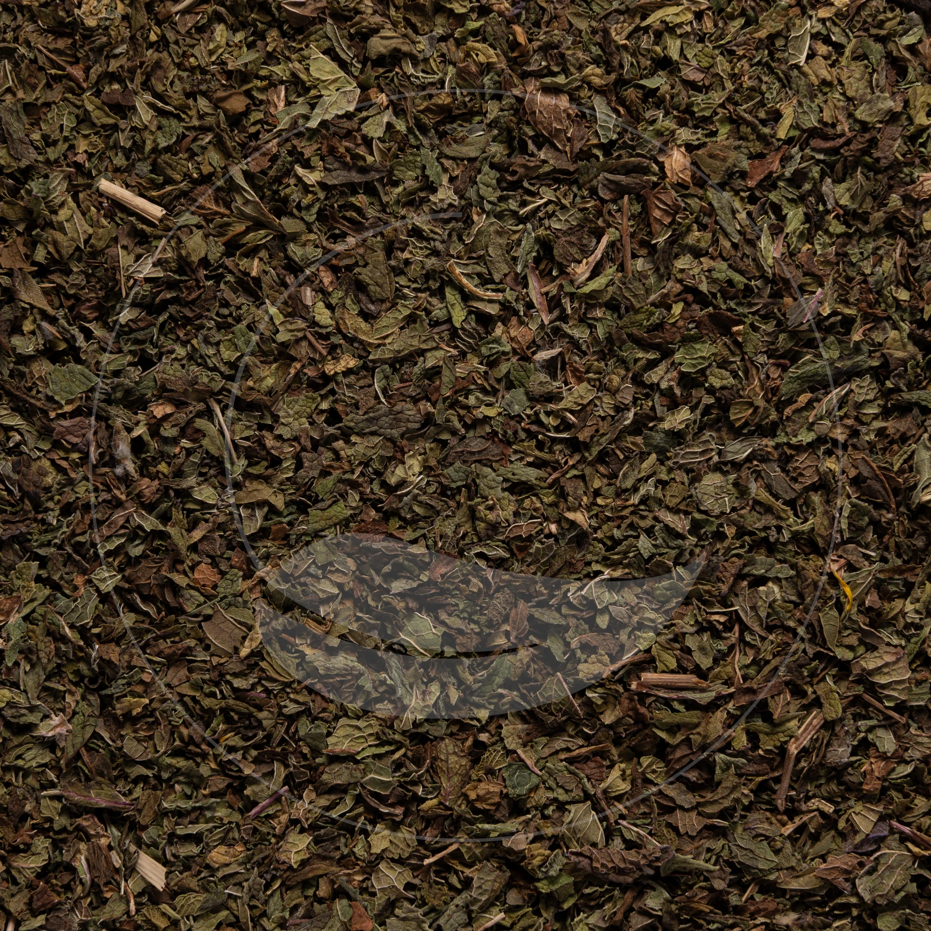 Menthe du Maroc Bio