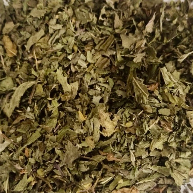 Menthe Poivrée Bio