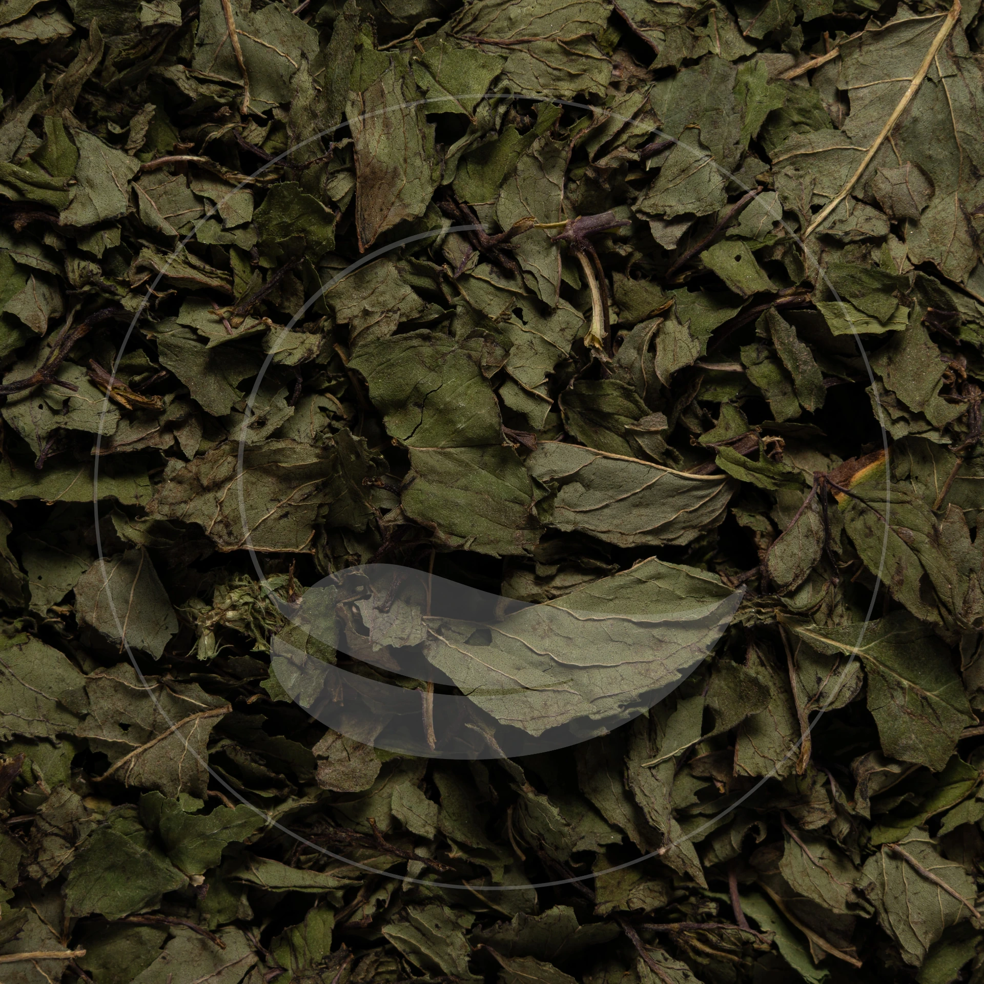 Menthe Poivrée Bio