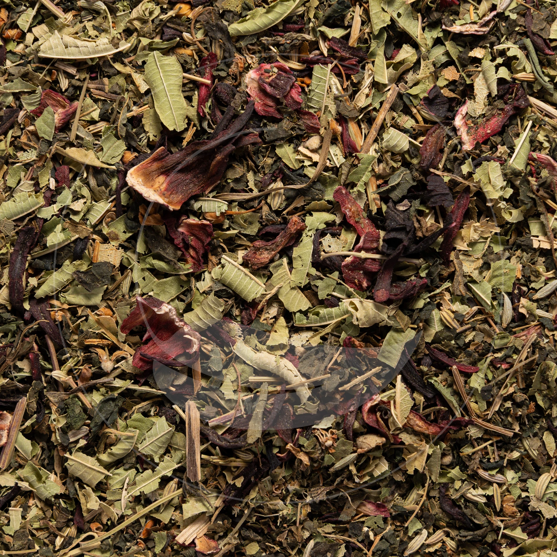 Infusion des Trolls